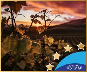 Drăgășani – raiul vâlcean al degustătorilor de vin